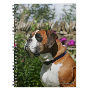 Carnet Chien de boxeur en fleurs