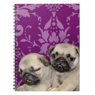 Carnet Chien de chiots de carlin