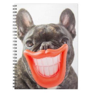 Carnet Chien de sourire des images   A de Getty