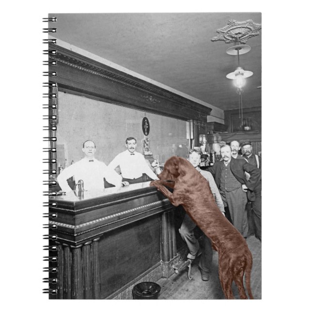 Carnet Chien Friendly Saloon Tavern Bar 1900 Photo (Devant)