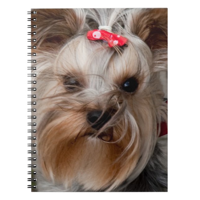 Carnet Chien mignon (Devant)