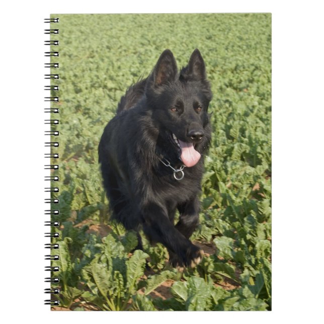 Carnet Chien noir (Devant)
