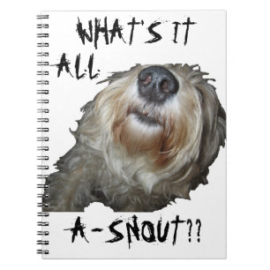 Carnet Chien "QU'EST-CE QUE C'EST QUE DE LA NEIGE ? ?" Ca