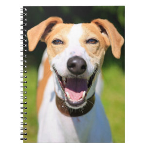 Carnet Chien riant des images de Getty