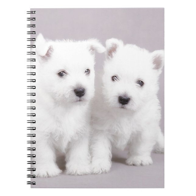Carnet Chiens de Westie (Devant)