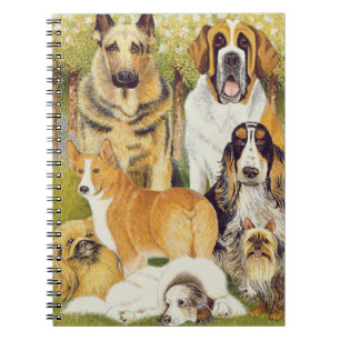 Carnet Chiens en mai
