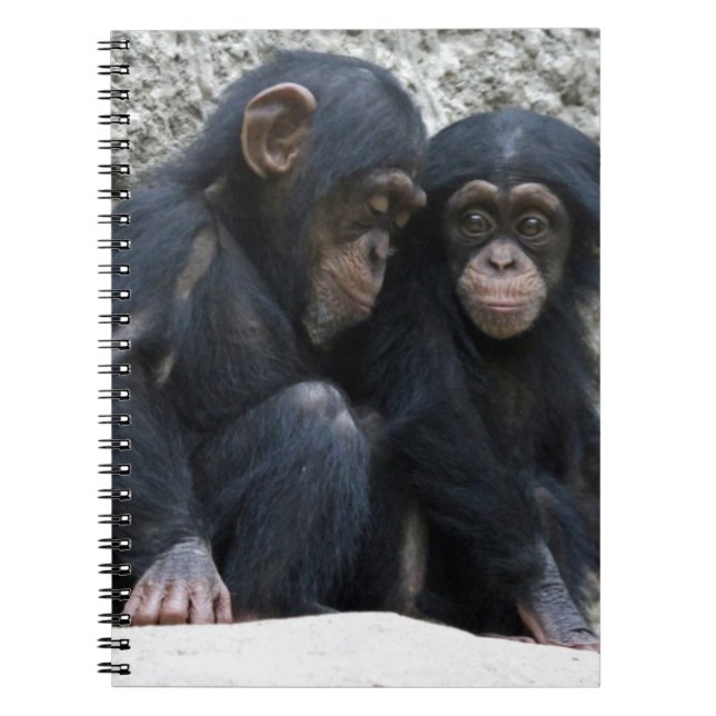 Carnet Chimpanzé002 (Devant)