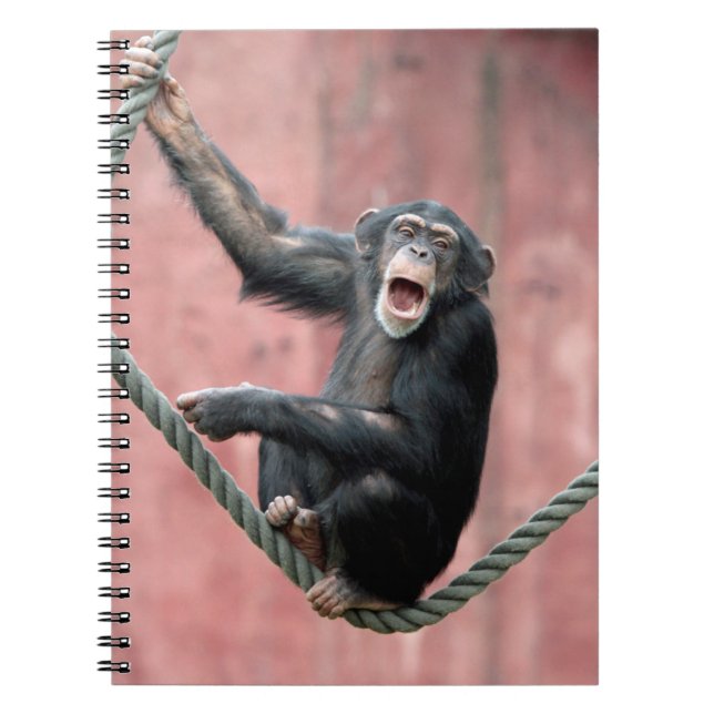Carnet Chimpanzée 001 (Devant)