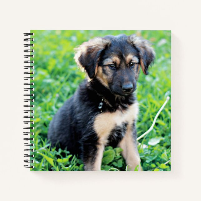 Carnet Chiot berger allemand (Devant)