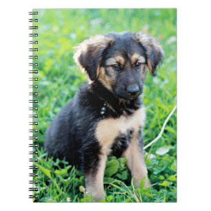Carnet Chiot berger allemand