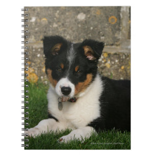 Carnet Chiot de border collie avec la feuille dans la