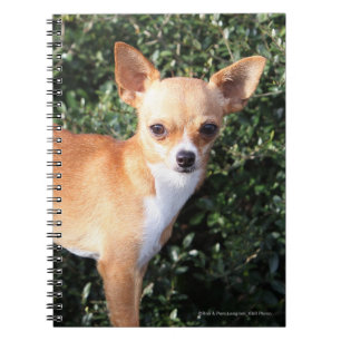 Carnet Chiot de chiwawa de tasse de thé