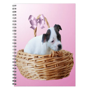 Carnet Chiot Du Staffordshire Dans Un Panier,