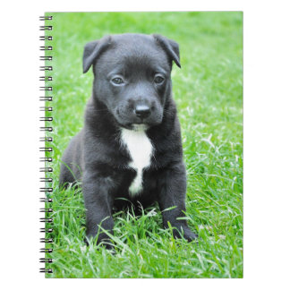 Carnet Chiot totalement adorable
