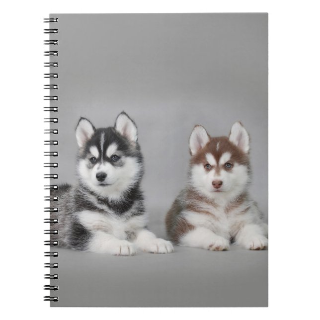 Carnet chiots de husky sibérien (Devant)