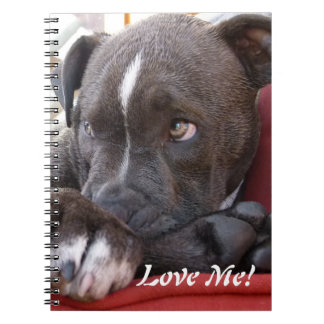 Carnet Chiots de Pitbull de bébé