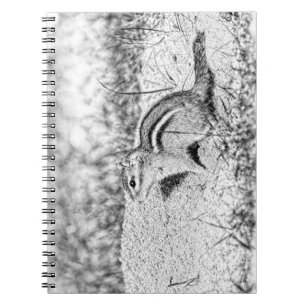Carnet Chipmunk Sketch
