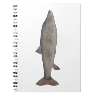 Carnet Chirruh Snowtrout