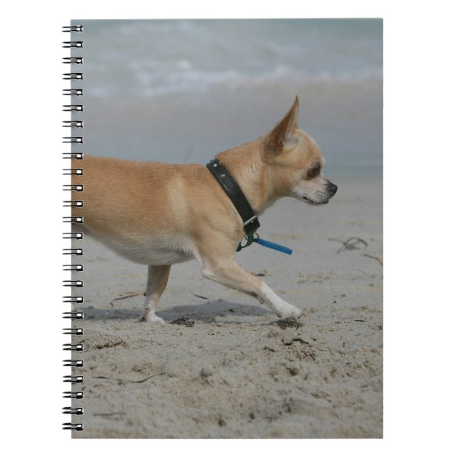 Carnet Chiwawa sur la plage (Devant)