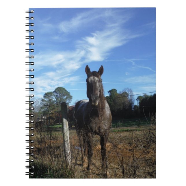 Carnet Chocolat au lait Cheval Brown en bleu (Devant)