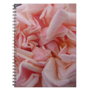 Carnet Chou rose Rose Fleurs Vintages Fleurs blanches