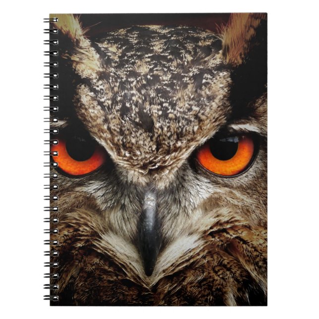 Carnet Chouette (Devant)