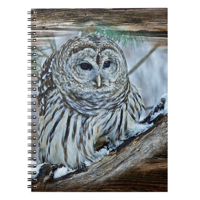 Carnet Chouette (Devant)