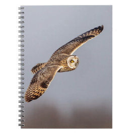 Carnet Chouette à oreilles courtes dans les Prairies de S