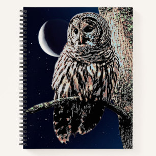 Carnet Chouette barrée et lune de croissant dans le ciel