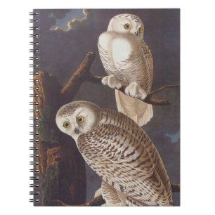 Carnet Chouette blanche neige Audubon lors d'une nuit nua
