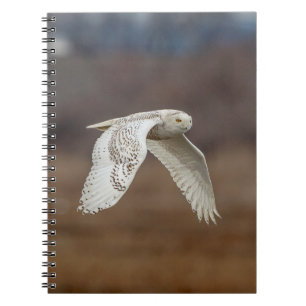 Carnet Chouette neige en vol