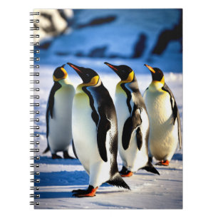 Carnet Chroniques de pingouins