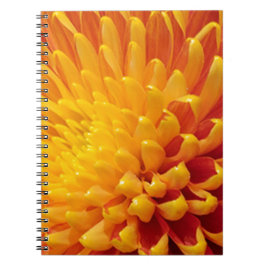 Carnet Chrysanthème jaune et orange