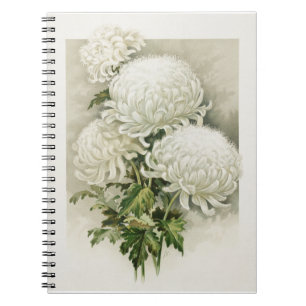 Carnet Chrysanthèmes - Elégant Botanique Vintage