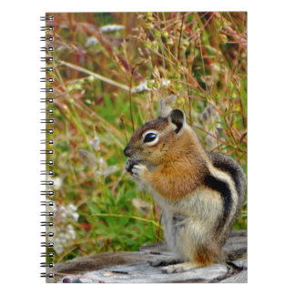 Carnet Chubby mignon chipmunk sur la souche de bois