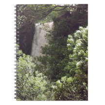 Chutes de Wairere