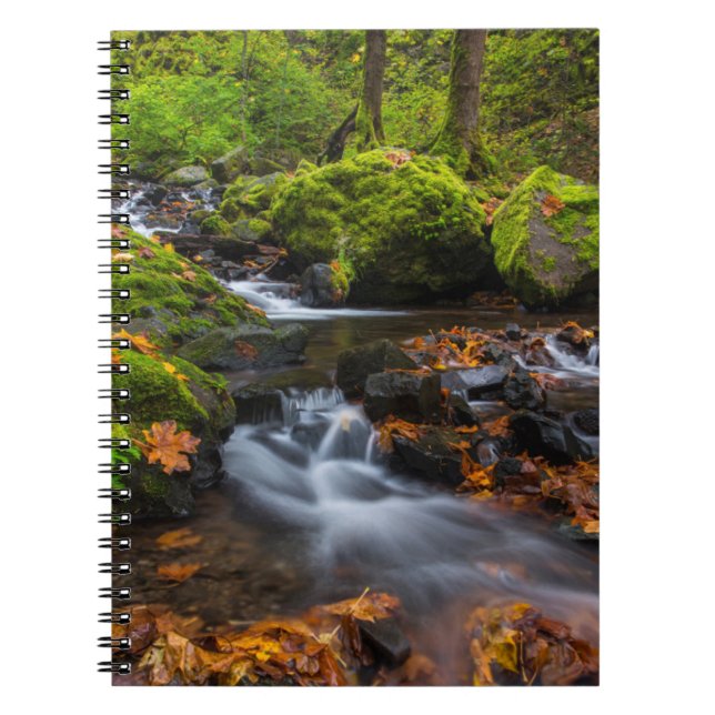 Carnet Chutes du ruisseau Starvation | Columbia Gorge, Or (Devant)