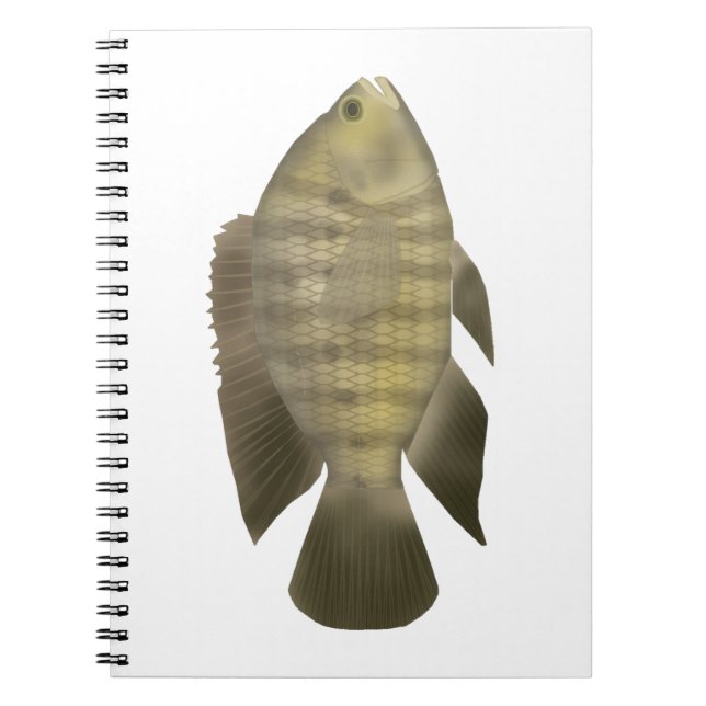 Carnet Cichlidé caméléon (Devant)