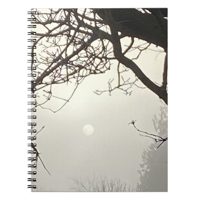 Carnet Ciel Blanc Et Soleil Dramatiquement Encadrés D'Arb (Devant)