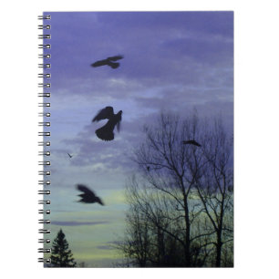 Carnet Ciel Moody Blue Crows