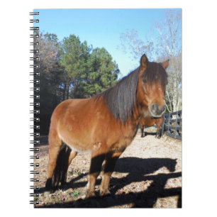 Carnet Ciel turquoise de poney Brown