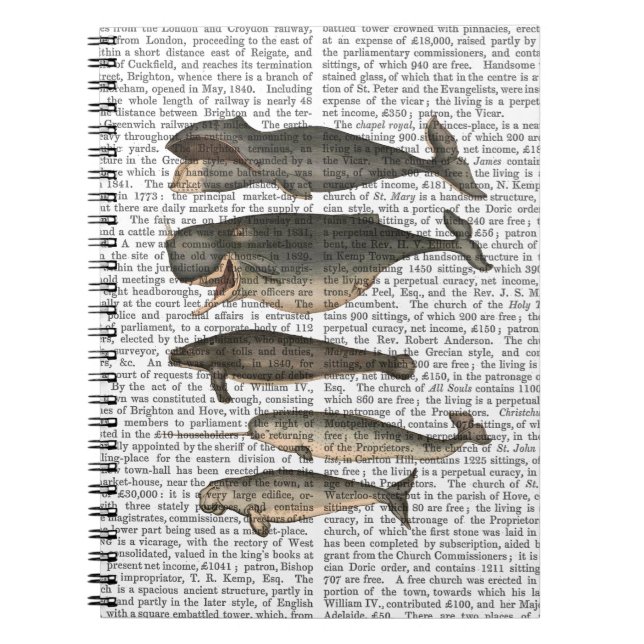 Carnet Cinq baleines Vintages (Devant)