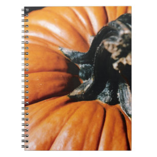 CARNET CITROUILLE !