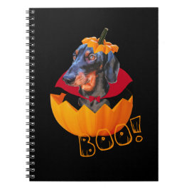 Carnet Citrouille de saucisse d'Halloween