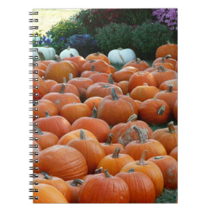 Carnet Citrouilles et Chrysanthèmes Photographie de la ré