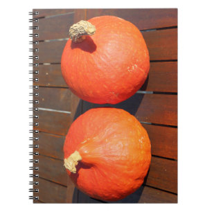 Carnet Citrouilles sur une table en bois