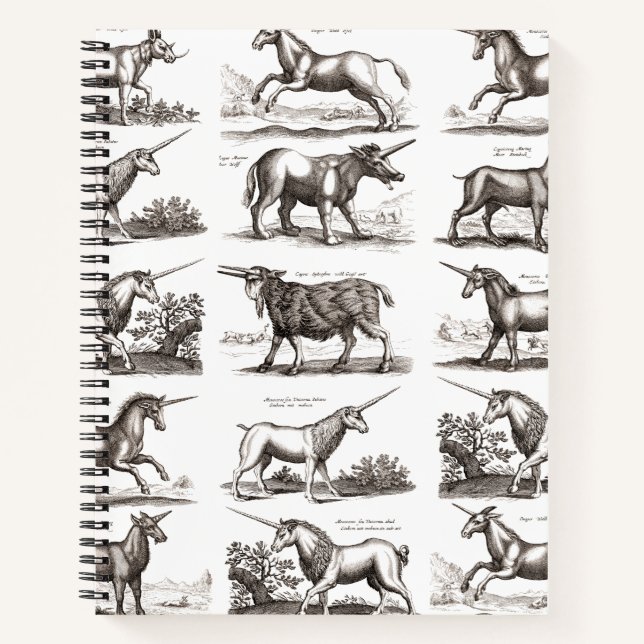 Carnet Classique Unicorne Antique Mythique Magie Créature (Devant)