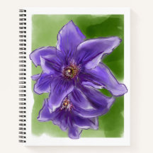 Clematis