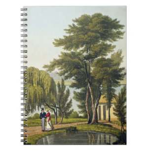 Carnet Clifton, 'du Naturama, ou, nature sans fin