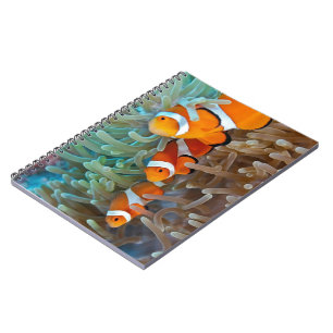 Carnet Clownfish